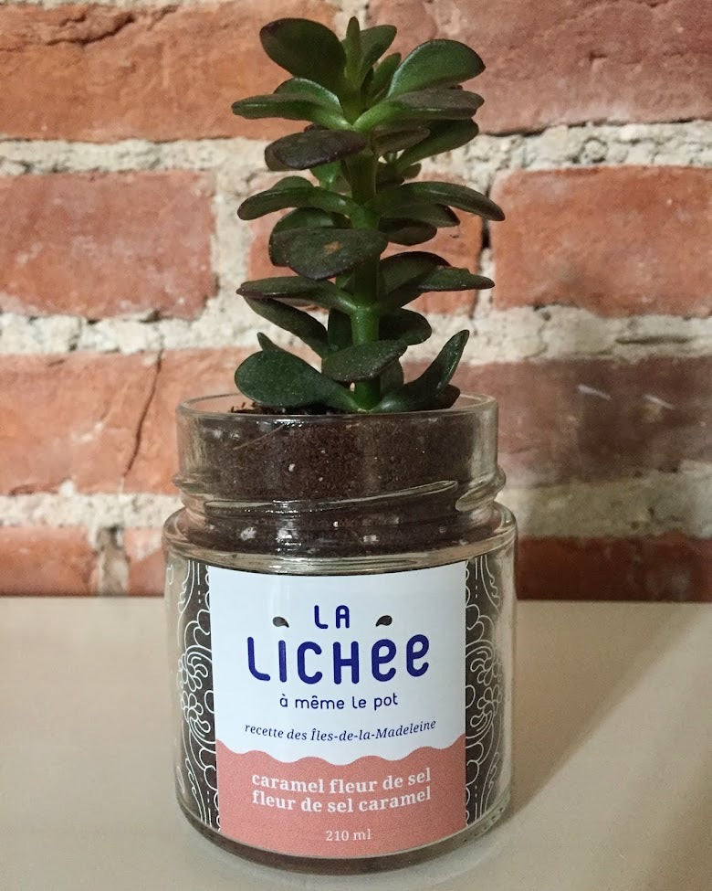 La Lichée – Authentic Québec Caramel 🇨🇦